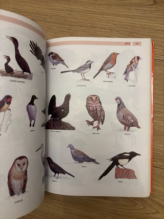 Pequeno Dicionario Xerais da Lingua