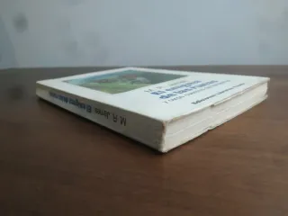 El Enigma de las Runas y otros Cuentos de Fantasma