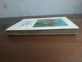 El Enigma de las Runas y otros Cuentos de Fantasma