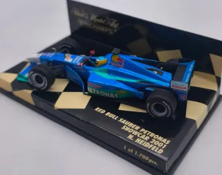 RED BULL SAUBER PETRONAS SHOWER 2001 N. HEILFELD