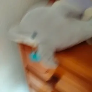 Lote Peluches: Hello Kitty, Pluto, Piolín 9€ la un