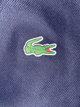Conjunto deportivo Lacoste azul y blanco
