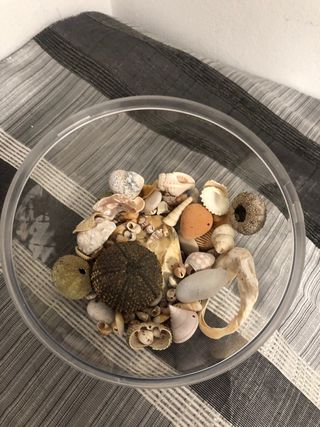 Decoración Comunión Niño Caballitos Mar