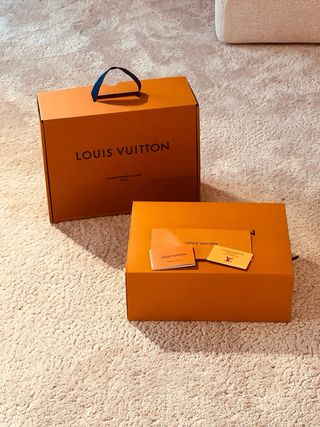 Zapatillas Louis Vuitton Grises y Blancas