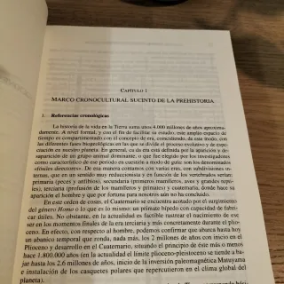 Manual de arte prehistórico