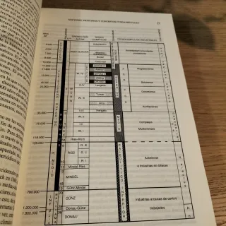 Manual de arte prehistórico