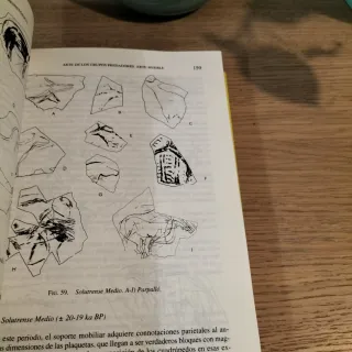 Manual de arte prehistórico