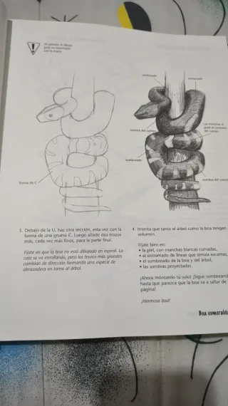 Dibujar paso a paso con más de 1000 ilustraciones