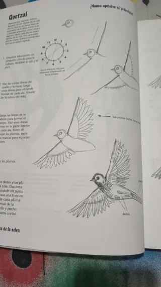 Dibujar paso a paso con más de 1000 ilustraciones