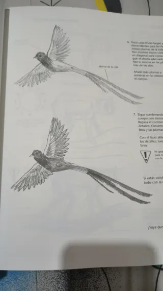 Dibujar paso a paso con más de 1000 ilustraciones