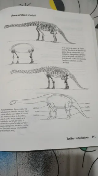 Dibujar paso a paso con más de 1000 ilustraciones
