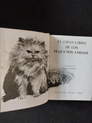 Colección 10 libros infantiles ilustrados