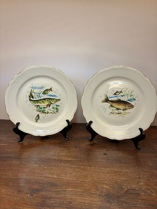 Richard Ginori Coppia Piatti Porcellana Pesci
