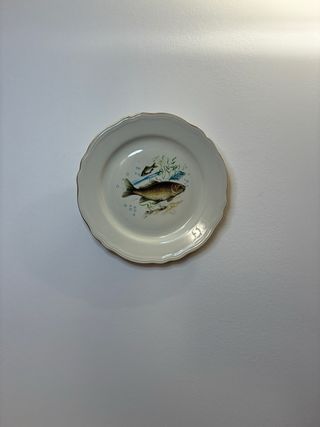 Richard Ginori Coppia Piatti Porcellana Pesci