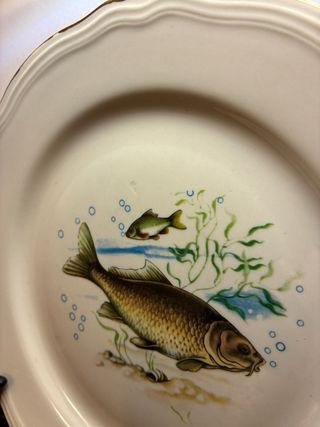 Richard Ginori Coppia Piatti Porcellana Pesci