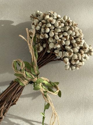 Ramo decorativo de bayas secas