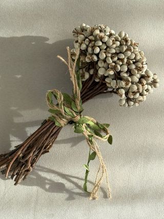 Ramo decorativo de bayas secas