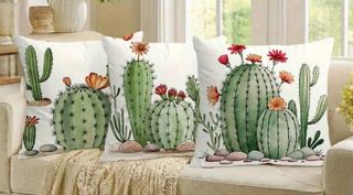 Lote fundas, alfombra, cartel