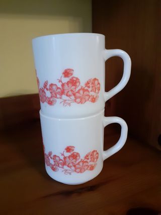 Arcopal Volubilis Naranja y Blanco