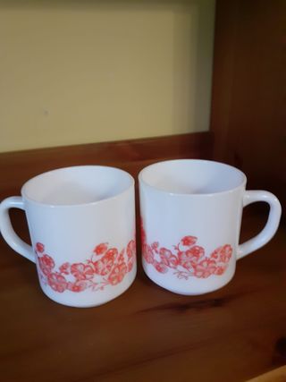 Arcopal Volubilis Naranja y Blanco