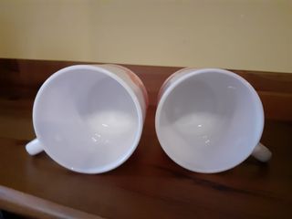 Arcopal Volubilis Naranja y Blanco