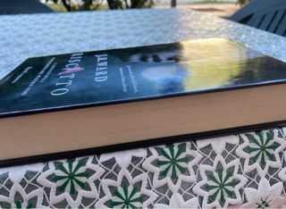 Riscatto un romanzo della Confraternita del Pug...