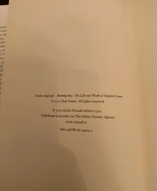 Ragazzo in fiamme. Vita e opere di Stephen Crane