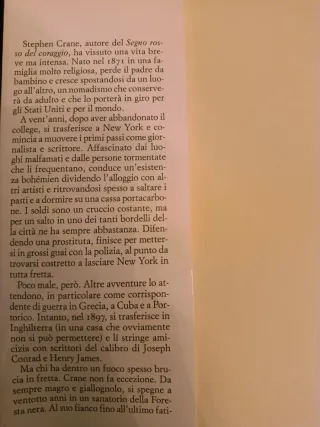 Ragazzo in fiamme. Vita e opere di Stephen Crane