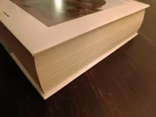 Ragazzo in fiamme. Vita e opere di Stephen Crane