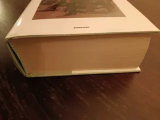 Ragazzo in fiamme. Vita e opere di Stephen Crane