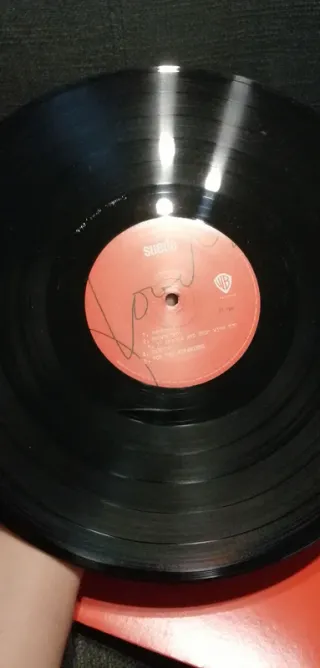 Vinilo Suede Bloodsports