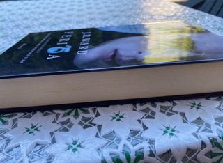 Ferita. La confraternita del pugnale nero