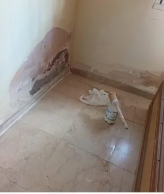 Empresa pintura Juisa. Económico