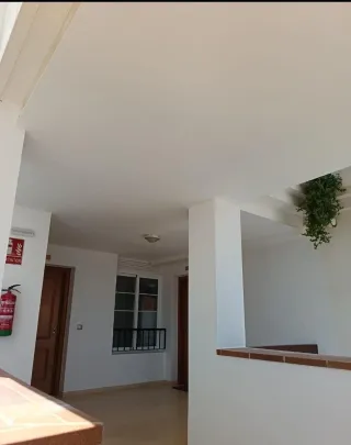 Empresa pintura Juisa. Económico