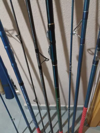 Equipo cañas Surfcasting