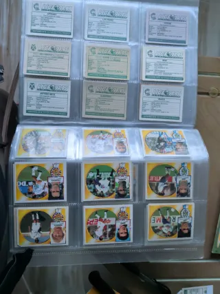 Liga 94-95 Fútbol 1ª División Cromos