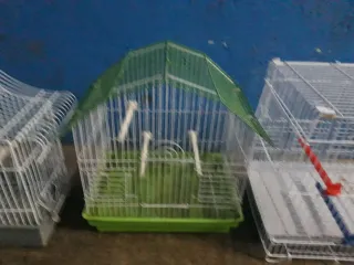 Gabbie per uccelli (3 unità)