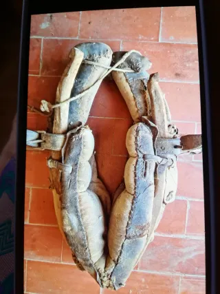 Caballo Collar  collerón 50cm