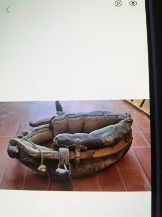 Caballo Collar  collerón 50cm