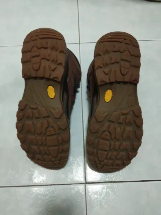 Botas de Montaña Lowa Marrón/Negro