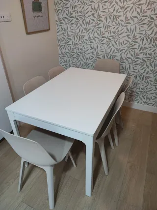 Conjunto Mesa EKEDALEN y 6 Sillas ODGER Ikea