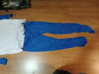 Disfraz mujer Pitufina / enanita