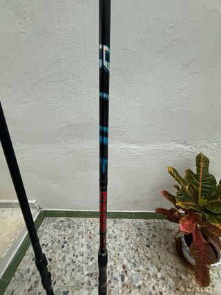 Cañas de pescar Daiwa y Olympus