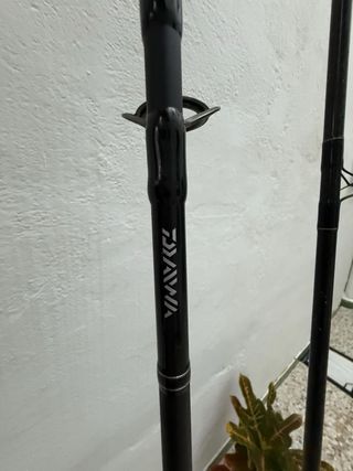 Cañas de pescar Daiwa y Olympus