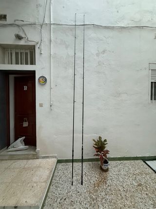 Cañas de pescar Daiwa y Olympus