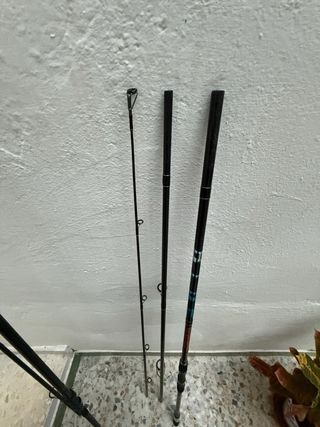Cañas de pescar Daiwa y Olympus
