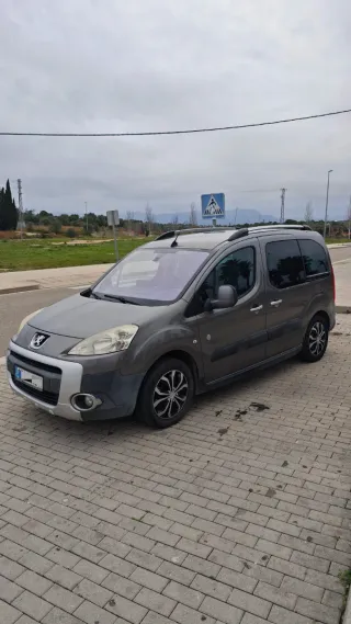 Peugeot Partner 2009