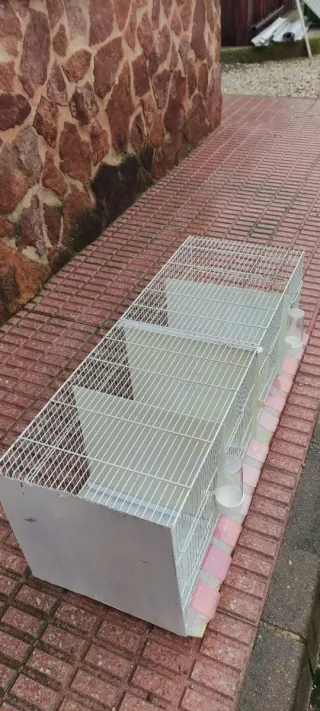 Gabbie per uccelli Pedros 1m