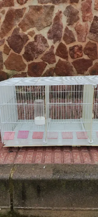 Gabbie per uccelli Pedros 1m