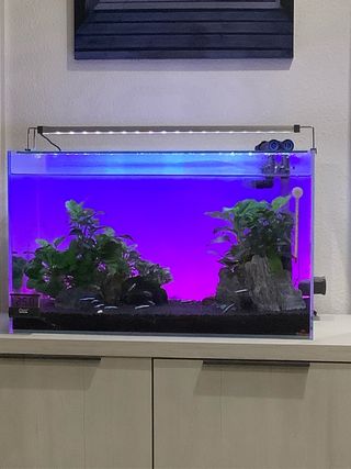 Acuario completo